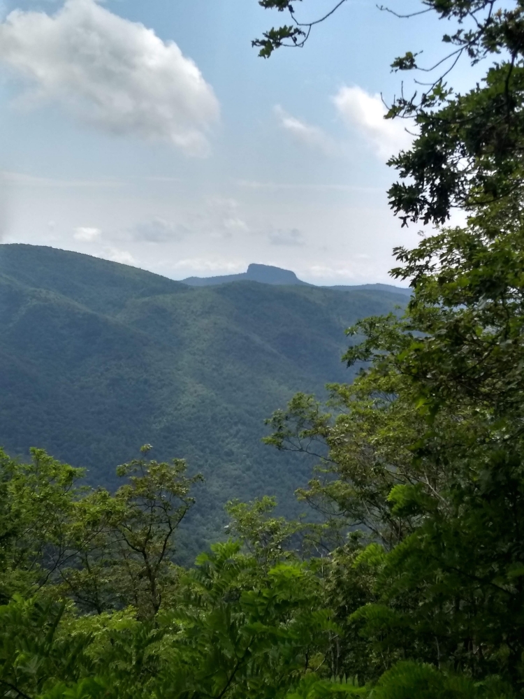 Chestoa View Overlook trail-Blueridge Pkwy_Fotor750 – Appalachia Bare