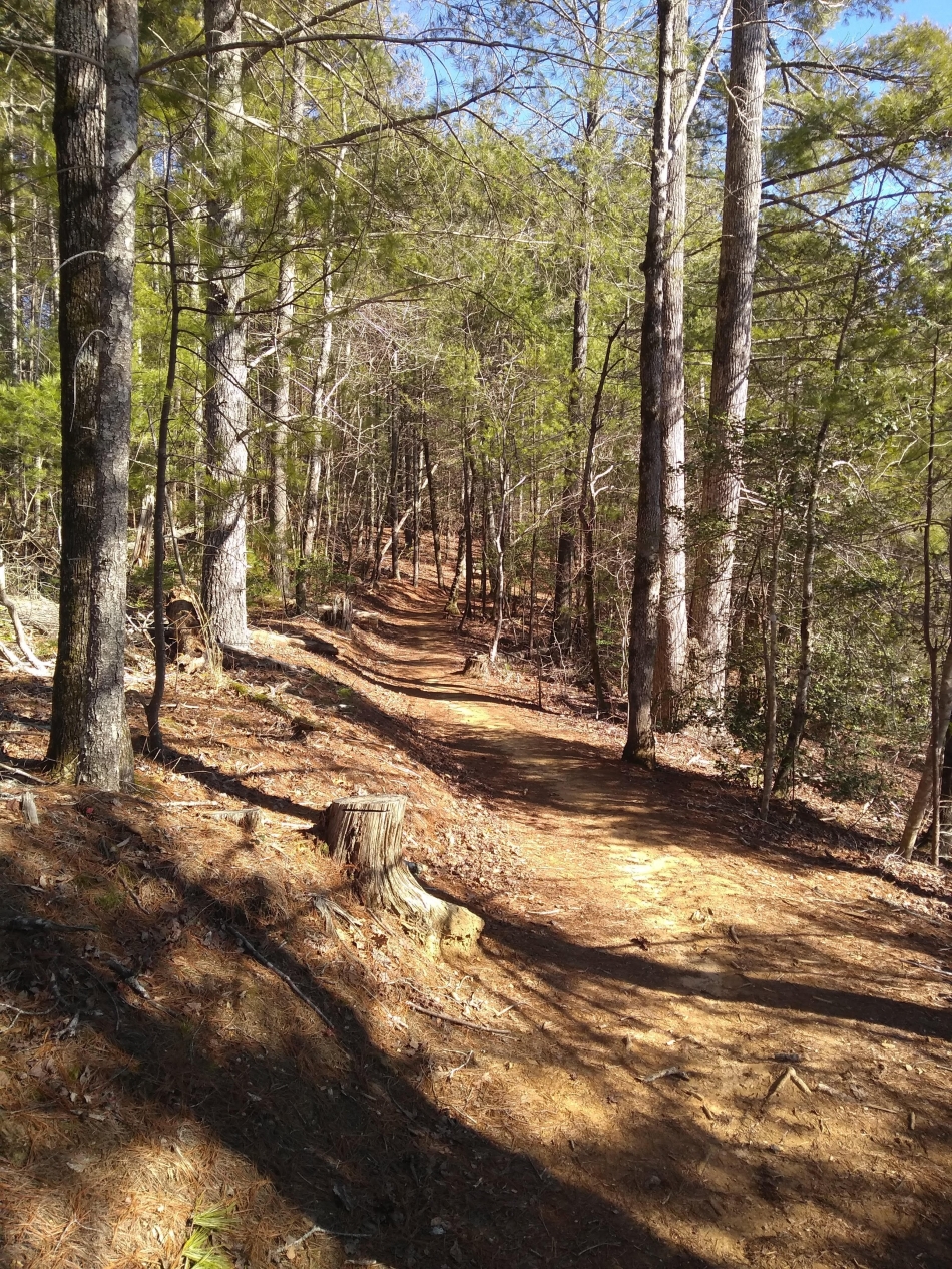 The Fonta Flora State Trail: An Erik Bathe Gallery - Appalachia Bare